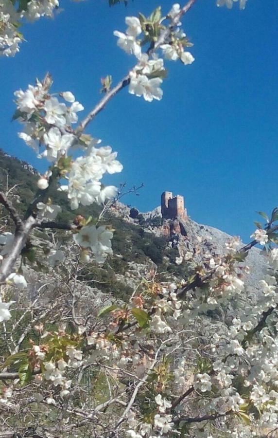 Casa La Oliva Villa Albanchez de Úbeda Eksteriør billede